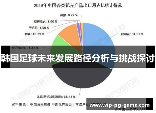 韩国足球未来发展路径分析与挑战探讨 韩国足球未来发展路径分析与挑战探讨